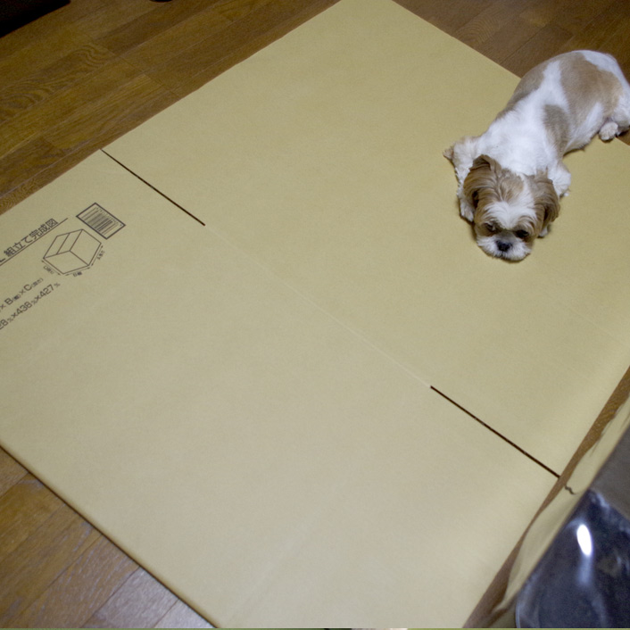 産箱を作りました！