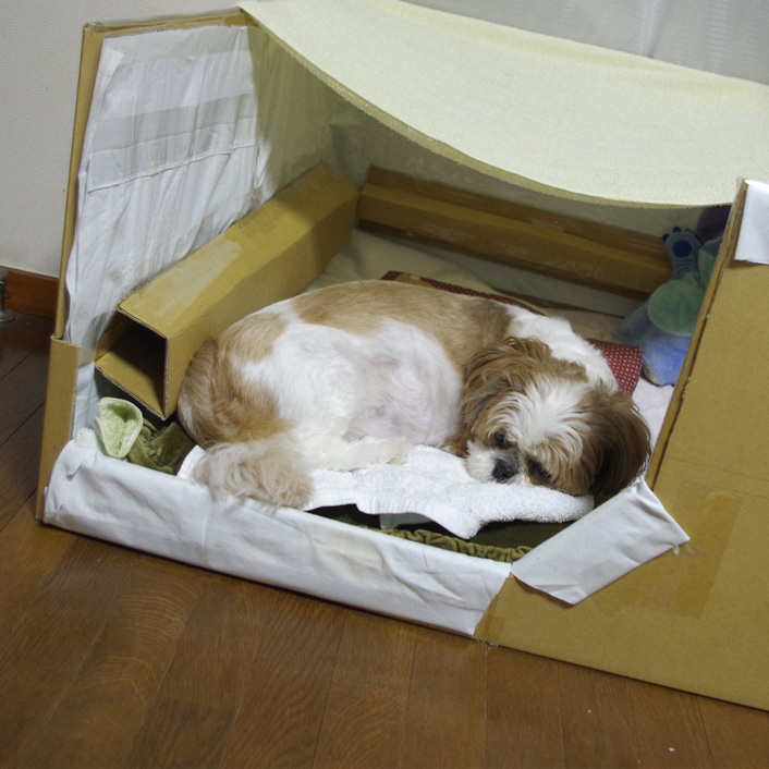 新型産箱、少しずつ慣れてくれてます。