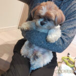 歩く、走る、爆睡。