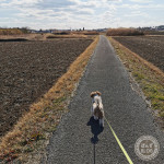 地平線に向かって。