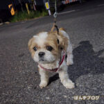 絶対家の方が、運動量激しいよね!?