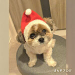 おやつがないと不満そうなサンタ