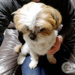 されど、１kg。