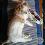 爽やかな日、なのに。