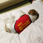 とっても涼しいです(^0^)