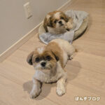 鍼灸で起きた変化