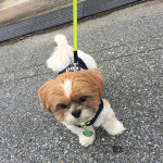 蒸してるの、ダメ(ToT)