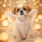 天使になった、ぽんず