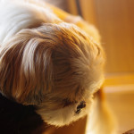 そ、そんなところで？！