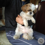 お目々がとろーん。