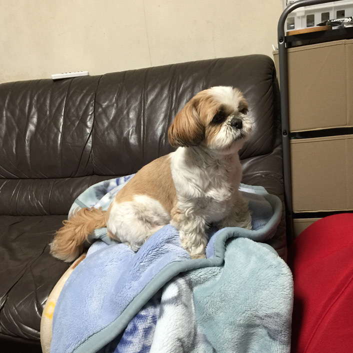 それ、何ごっこ？