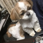 家具の一部・・・。