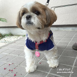 気合あふれる、ぽんず（？）