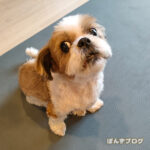 どちらも目が『むいっ』ってなっちゃうよ！