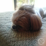 すき間、好き？