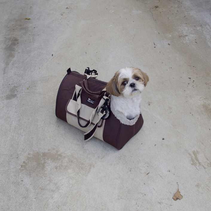 ６４日目。少しだけ、気分転換です。