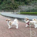 静かな公園で、おさんぽです。