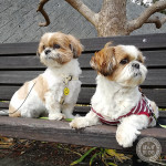 写真、撮りまくりました！