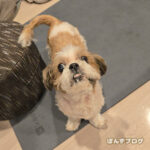 あまりにも謎な鍼灸院