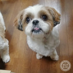 茹でたて、だいすき！