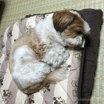 気になる週間予報