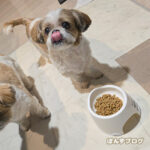 ひと手間で食べてくれる、ぽんず