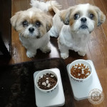 台風19号がまもなく上陸です…