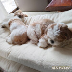 しめった空気。