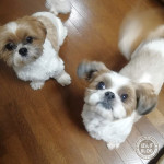 もふるの早すぎ！