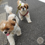 いまのうちに、行くよ。