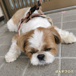 これも、『ビタ着』！？