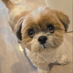 退院後、初の定期受診でした