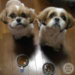 その後、体重について。