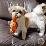 たいくつしのぎ。