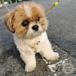 謎すぎる血統。