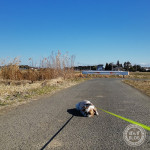 太陽のエネルギー。