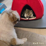 今も昔も・・・