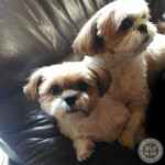 やっぱり、仲良し？