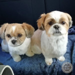 親子ですっきりさっぱり！