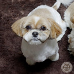 おいら、遊んでもらったよ