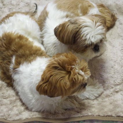 快うん、まだ。