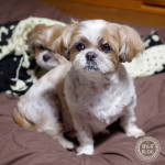 後ろでウトウト・・・