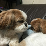 今日も、癒し寝顔。