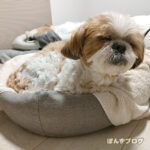 雨だからいっぱい寝よう