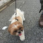 こっそりと、はムリ。