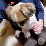 かぼすっぽくて。