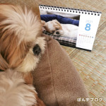 ８月の予言！？