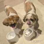 隠れ食いしん坊、かぼす