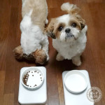 横取り、しないよ。