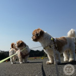 青空で日光浴！